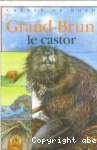 Grand-Brun le castor