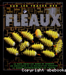 Flaux