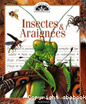 Insectes et araignes