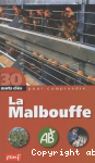 La malbouffe : la scurit alimentaire